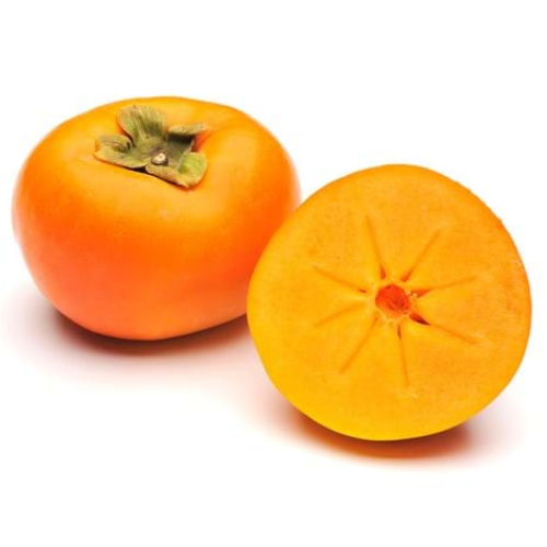 Persimmon – Dreamfruit